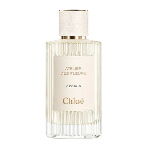 Chloe Atelier des Fleurs Cedrus