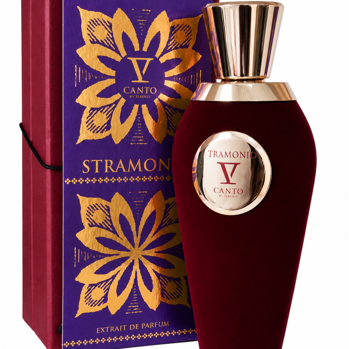 V Canto Stramonio
